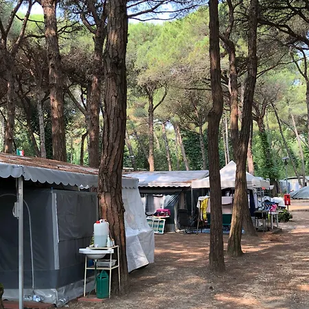 Club Del Sole Easy Village Campeggio 3*